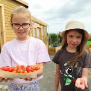 County Durham-based believe housing is inviting the community to feel the physical, mental and social benefits of gardening for free at its allotment at Seaham.