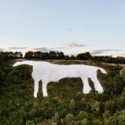 The Kilburn White Horse can be seen for miles around, but the biggest challenge is maintaining its colour as it is cut into limestone