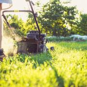 Garden owners should stop mowing their lawn in the autumn, between late September and late October, according to a garden expert