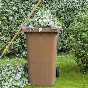 Redcar and Cleveland Borough Council (RCBC) have announced they were unable to collect garden waste Galley Hill Estate and Thames Road Estate in Guisborough today (September 14) due to a staff shortage.