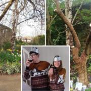 A tree at the memorial garden to Dyllon and Quinn Beadle (inset) has wrongly been chopped back by Durham County Council, leaving the tragic siblings' family and friends furious and upset.