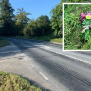 Daria Bartienieva, 35 and her son, Ihor Bartienieva, six, died at the scene after the Vauxhall Meriva they were travelling in was involved in a three-vehicle collision with a bus and another car on the A-road in South Stainley on Sunday, September 3