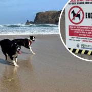 Beaches from Whitley Bay down to Saltburn had 'dog-free' zones for the summer period until