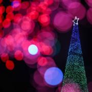 Christmas events in Middlesbrough.