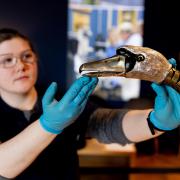Becca Hawkridge from Cumbria Clock Company with the Bowes Museum Silver Swan, which is undergoing a restoration