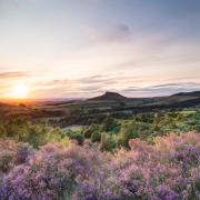 Plans have been submitted for glamping pods overlooking Roseberry Topping