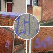 Police and community wardens for the council are looking into the incidents, which saw streets in Chester Le Street have lettering and symbols drawn on by vandals