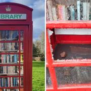 Durham Police have confirmed they are investigating damage done to a telephone box community library in Spennymoor between 7pm and 9pm on February 14 Credit: DURHAM POLICE