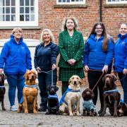 Linda Jones with dog handlers, from left, Karen Keen, Lisa Chorlton, Millie Tinsley, and Kelly Brierley. And dogs, from left, Emmie, Red, Shadow, Chance, Wilma and Axel