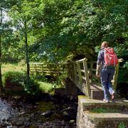 County Durham isn't short for great walking routes, from river paths to public footpaths and from hill walks to heritage routes, it has everything