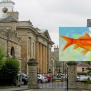 Durham Crown Court told that goldfish was sadistically killed for what the defendant thought would make a 'funny' video