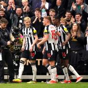 Anthony Gordon celebrates with Newcastle teammates against Tottenham