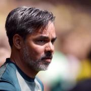 Norwich City have sacked manager David Wagner