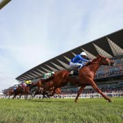 NEIGH LAUGHING MATTER: Horse racing at Ascot