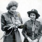 Princess Elizabeth, patrol leader in the Buckingham Palace Company of the Girl Guides sending a message by carrier-pigeon to Lady Baden-Powell at Guide Headquarters in the 1940s