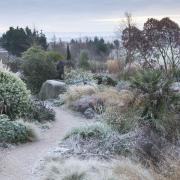 THE ESSENCE OF GARDEN: The dry garden at RHS Hyde Hall. Picture by Lee Beel/RHS
