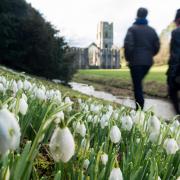 GLORIOUS: Fountains Abbey and Studley Royal Water Garden, near Ripon in North Yorkshire