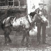 SURVIVOR: William Gardner and a pony he rescued