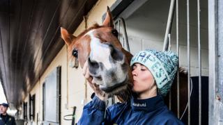 Visiters to the annual Middleham Open Day will have the chance to get up close and personal with their favourite racehorses