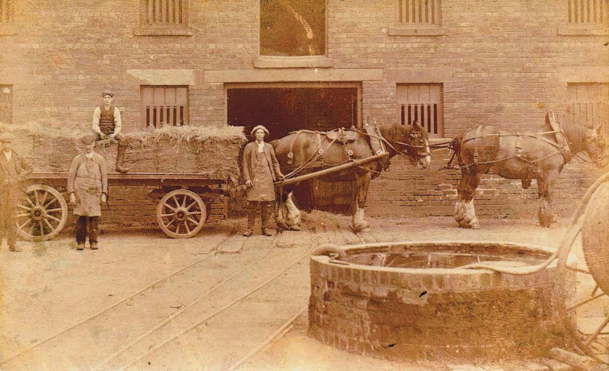 THE REAL WORKERS: Eldon Colliery Stables in the early years of the 20th Century
