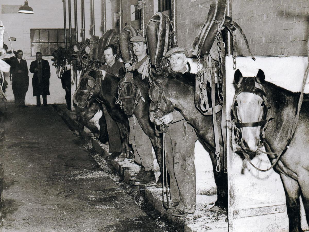 IN THE SADDLE: The Eldon Colliery stables in 1947 with Dick Bland, Tom Bloomer and Jack Race
