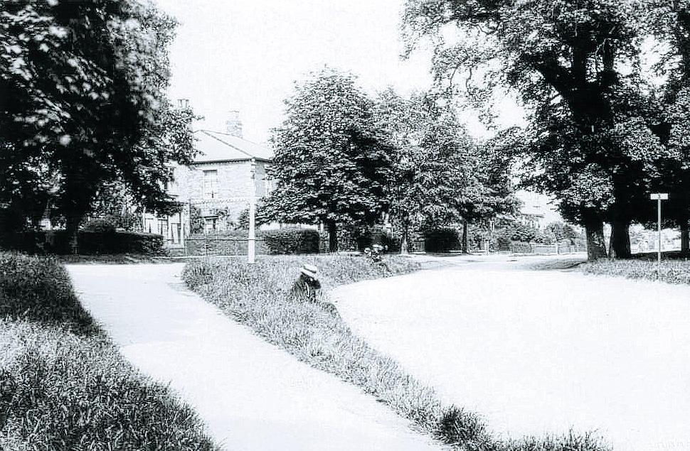 TREE-LINED ROAD: Haughton Green at the turn of the 20th Century, looking east towards Stockton. The trees on the right were known as "the Crowe Trees" or "the Seven Sisters"