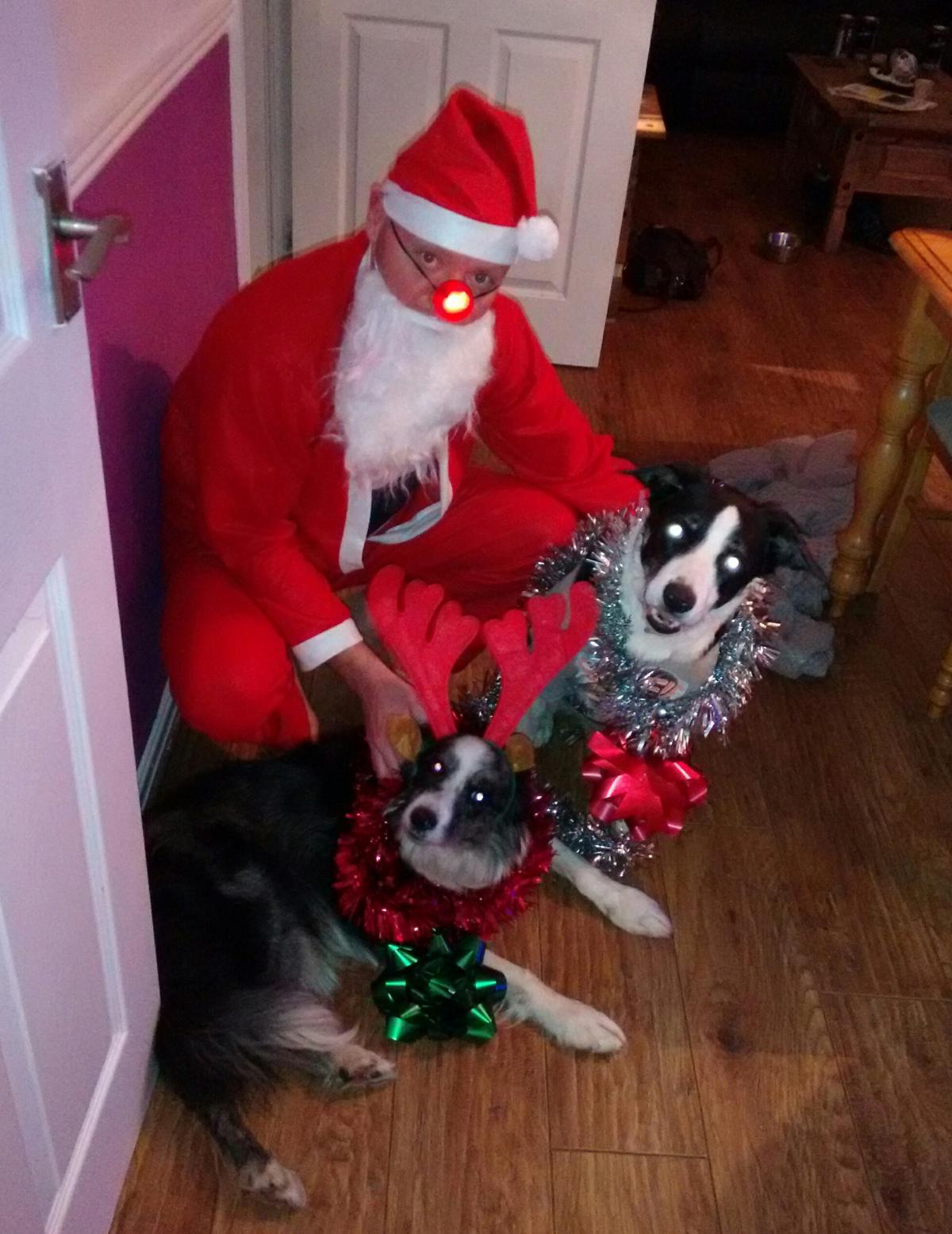 Annette, from Shildon, sent in this picture of her two dogs, Holly, 9, and Jack, 7