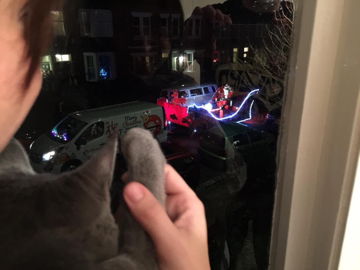 Lauren Dunkley's cat, Princess, waves to Santa from their home in Darlington
