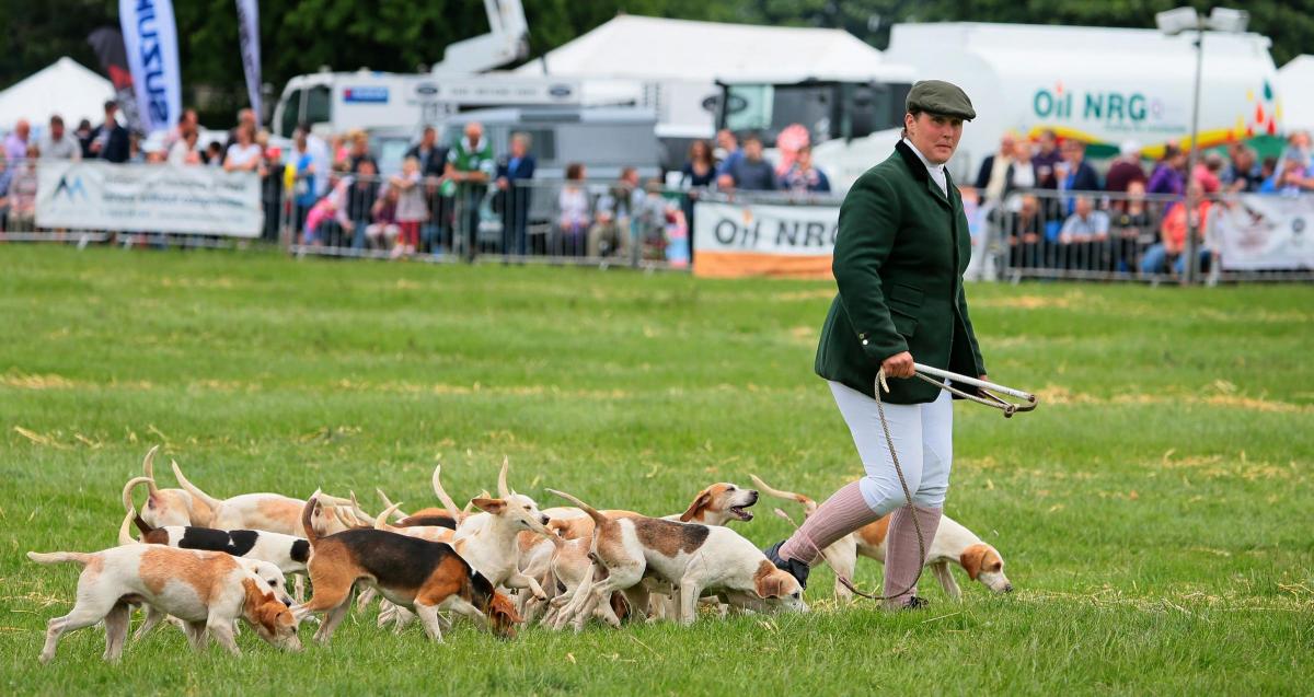 North Yorkshire County Show