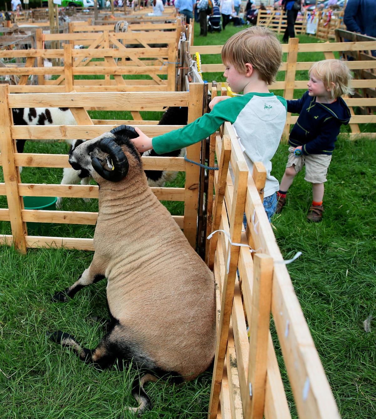 North Yorkshire County Show