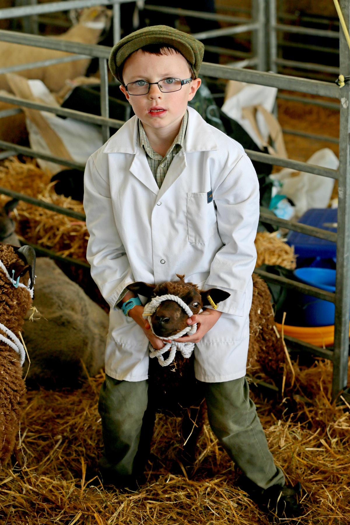 Great Yorkshire Show 2016