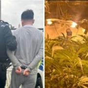 A man has been arrested after police uncovered a large cannabis grow at a Shotton Colliery address Credit: DURHAM CONSTABULARY
