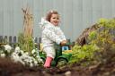 HECK! are looking to give under-10s a fun-filled farming experience at their headquarters next month Credit: HECK