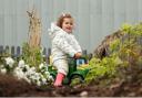 HECK! are looking to give under-10s a fun-filled farming experience at their headquarters next month Credit: HECK