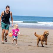 From May 1 until September 30, dogs are not permitted within signposted zones on sections of Filey, Scarborough South Bay and North Bay, Whitby West Cliff and Sandsend beaches