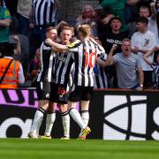 Newcastle United players celebrate against Brighton