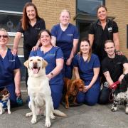 Team members from Clevedale Vets at the new practice in Guisborough which will open in early summer Credit: CLEVELAND VETS