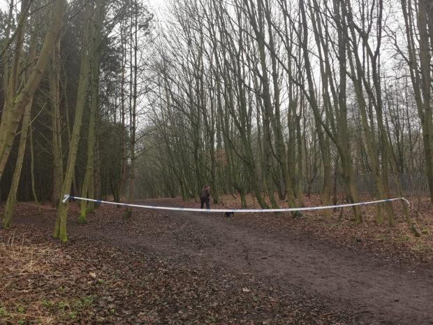 The Northern Echo: Police have cordoned off the area in Geneva Woods in Darlington