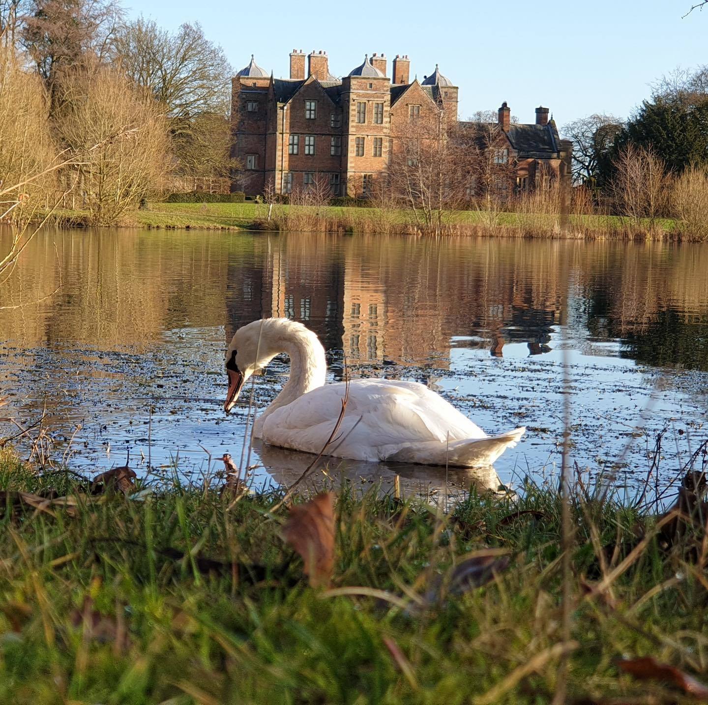 Swans on the lake at Kiplin Hall and Gardens are part of the attraction’s reputation for calm tranquillity