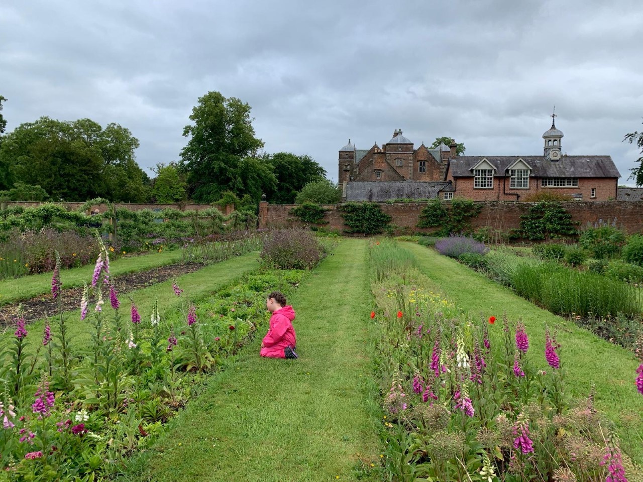 Kiplin’s walled garden and 90 acres of park land are due to reopen on Monday, March 29 just in time for the Easter holiday. The walled garden produces fruit and vegetables for the tea room recipes and is carefully looked after by a large team of
