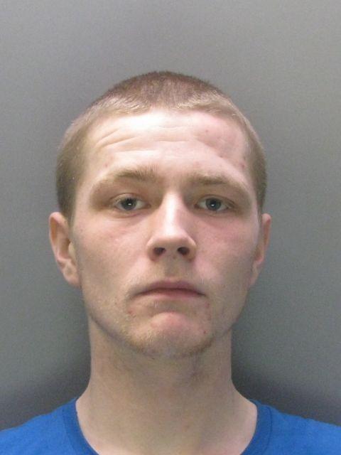 Patrick Williams, given 12-month custodial sentence over driving which led to collision with tree