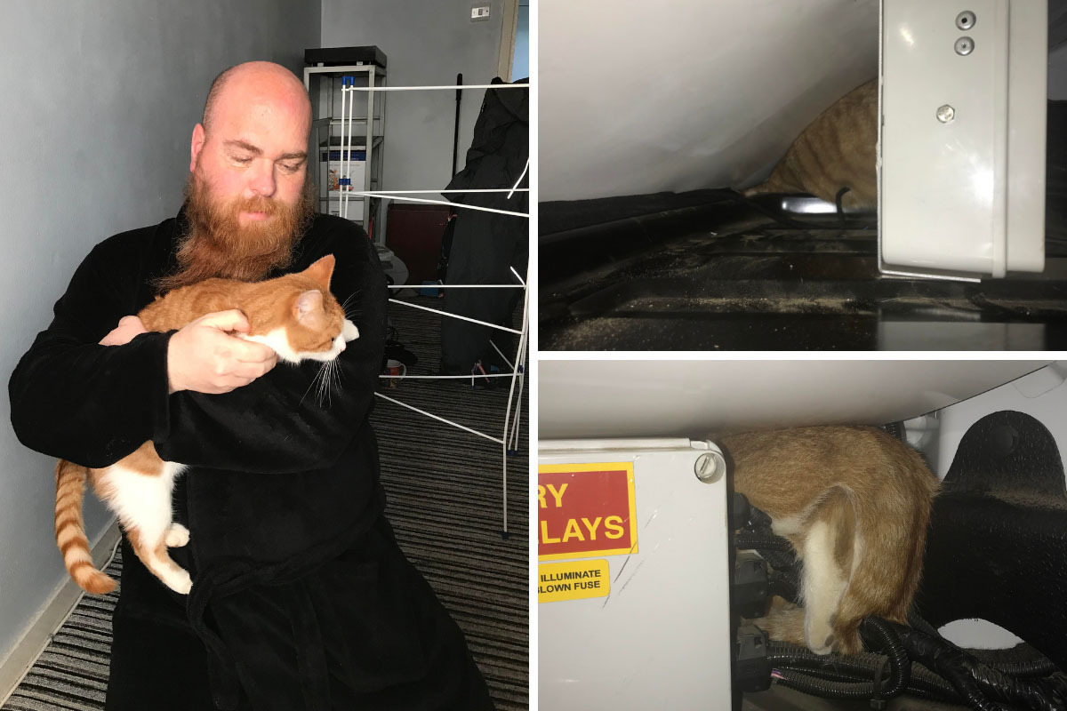 Gateshead: RSPCA reunites cat stuck in van for three days with owner - Vimarsana News