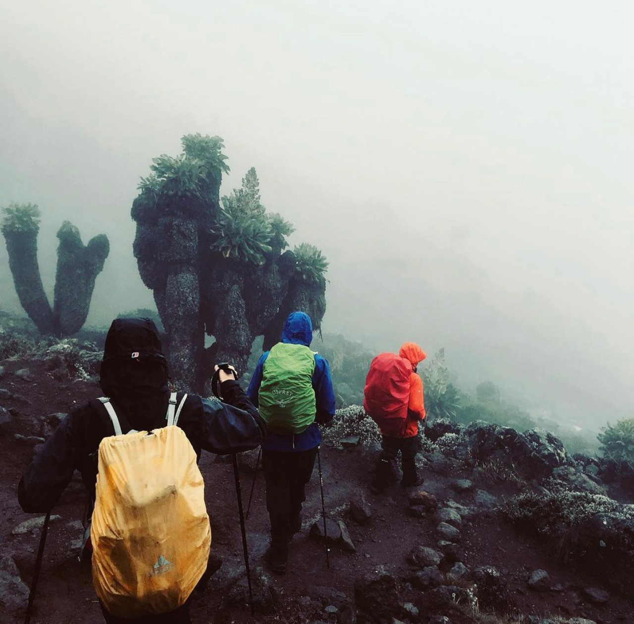 Heading down from Kilimanjaro summit Picture: GLEN NEILSON.