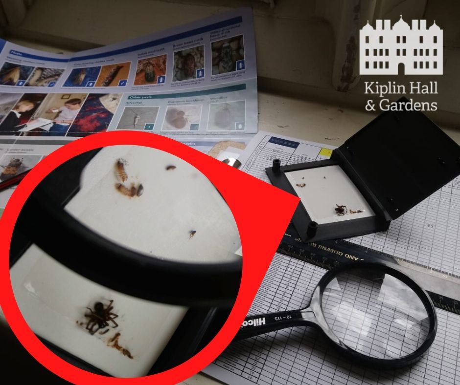 Careful monitoring ensures that pests which can damage the collection are kept under control
