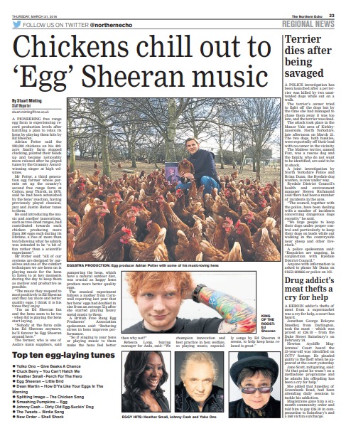 The Northern Echo’s report on the music-loving hens