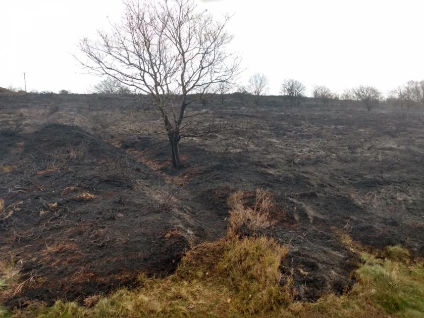 County Durham: Firefighters extinguish fire at Waldridge Fell 