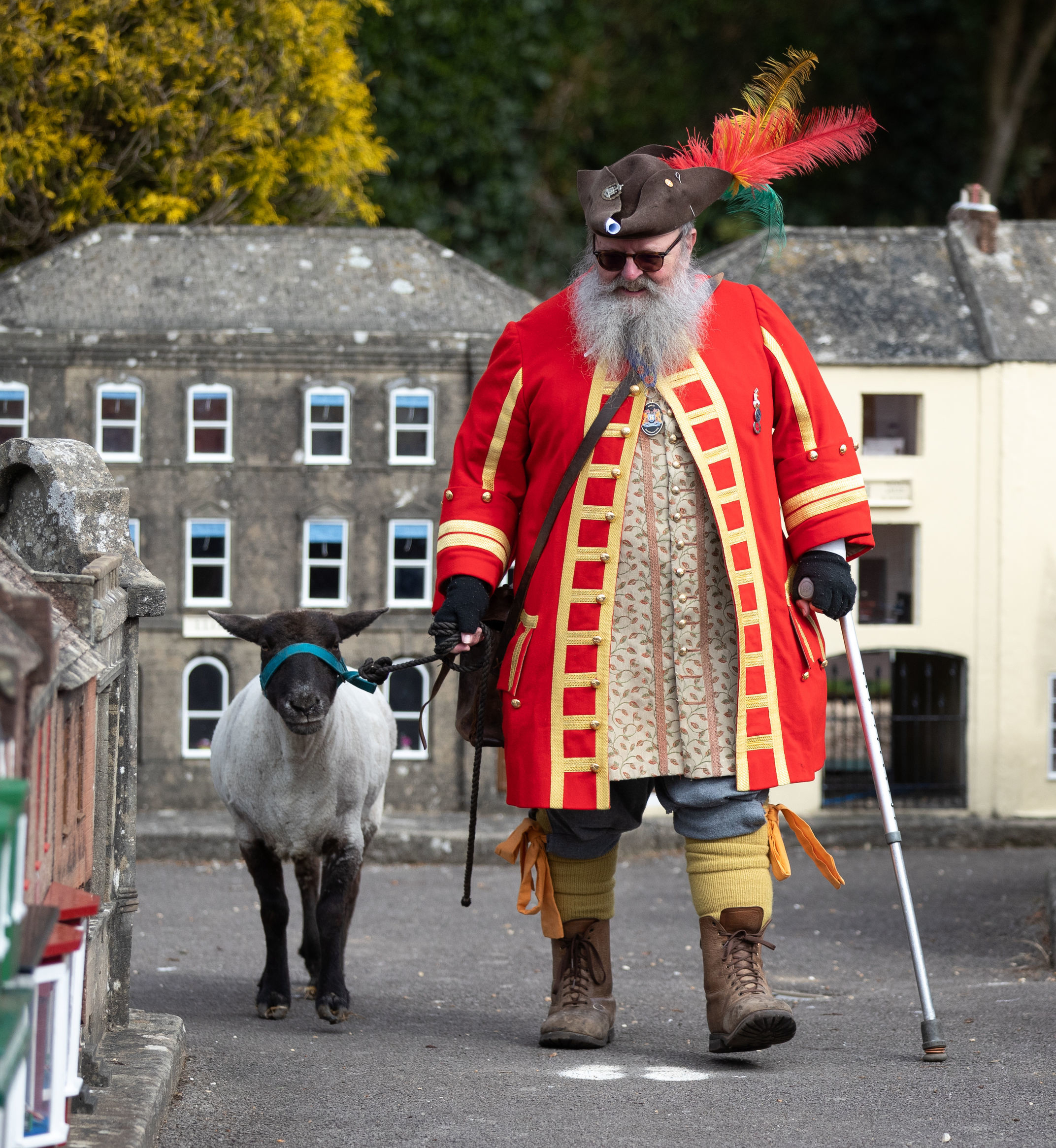 Chris Brown, the Town Crier and Mayors Serjant of Wimborne Minster, in Dorset, exercises his right as an Honorary Freeman to drive sheep through Wimborne without charge, albeit through the Wimborne Model Town, to herald their re-opening on 12th April