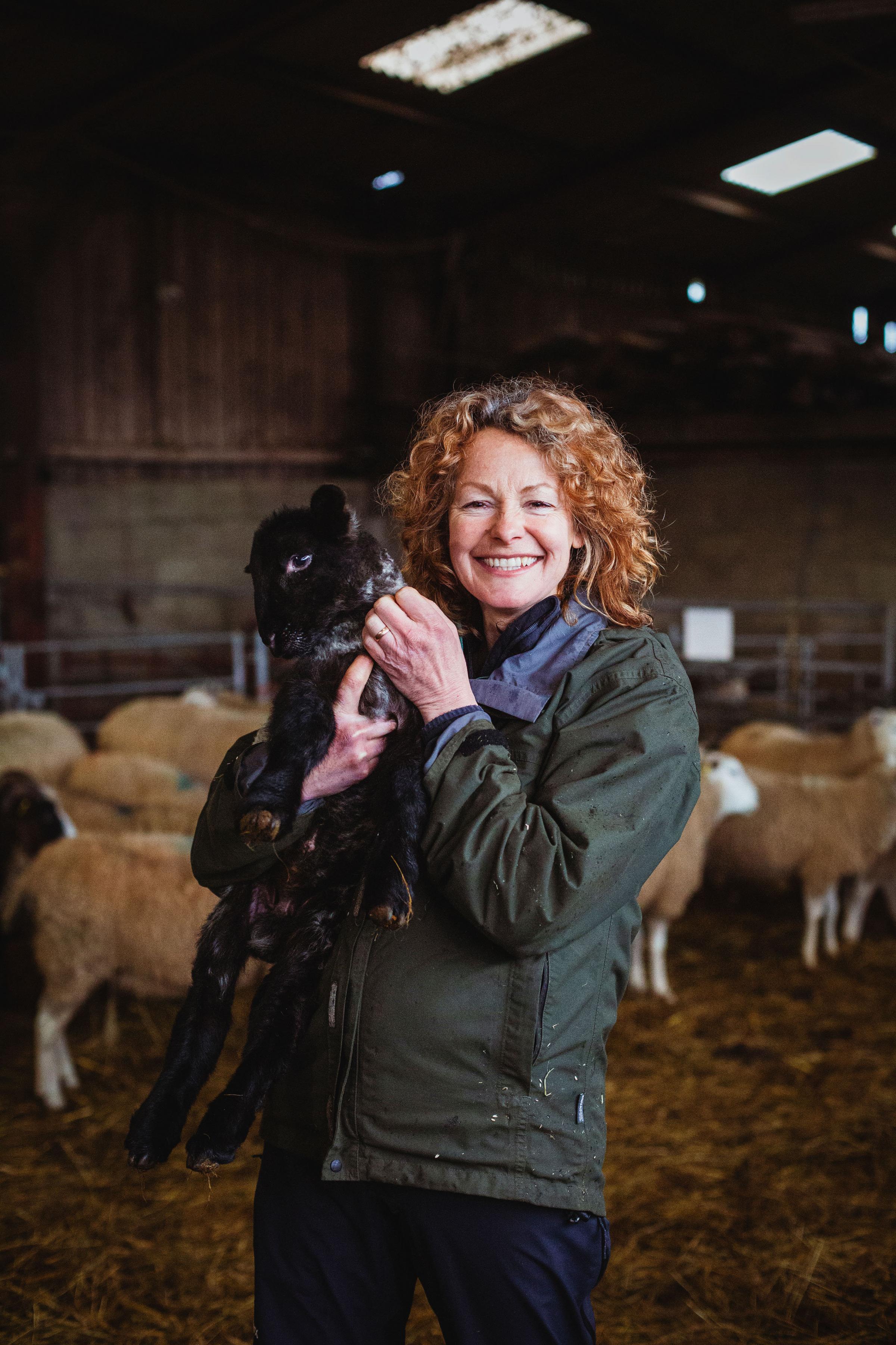 Presenter Kate Humble in the sheep shed, holding a lamb
