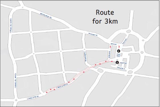 The Northern Echo: The route of the 3Km event