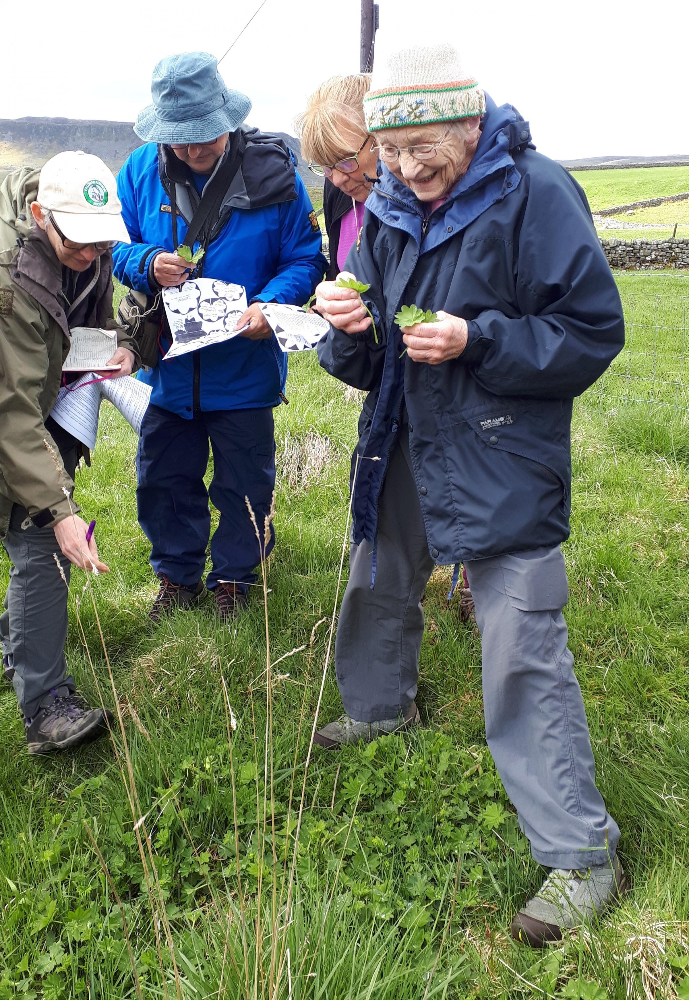 Dr Margaret Bradshaw, founder of Dr M.E. Bradshaw’s Teesdale Special Flora Research & Conservation Trust, teaching